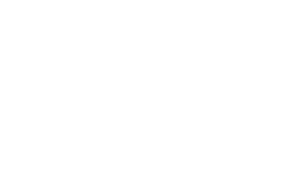 Publicis Sapient
