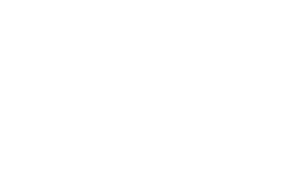 Vic Government